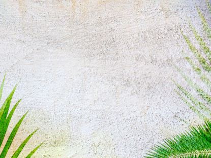 Palm Sunday 02: Still 01