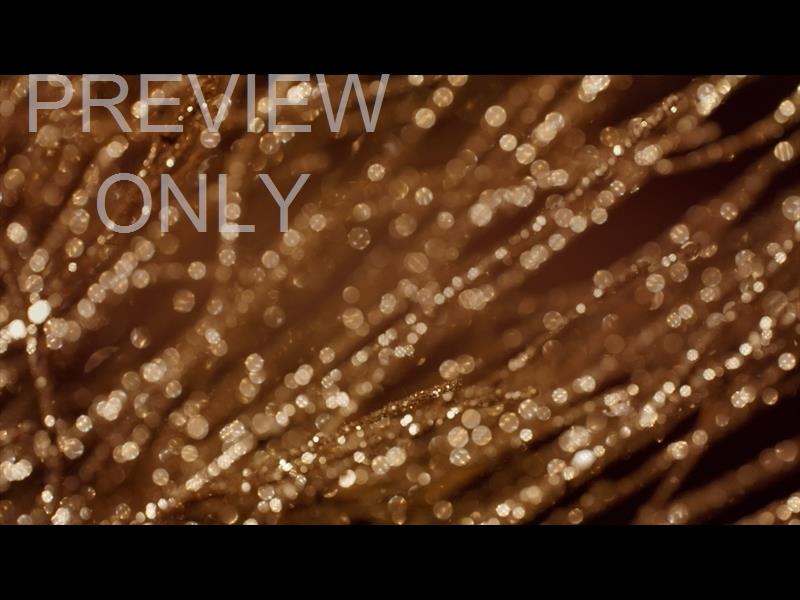 Christmas Gold 14 Still