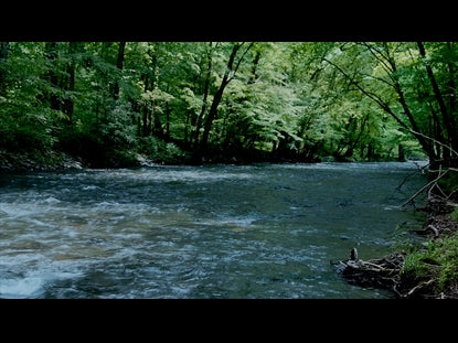 River Wild 12