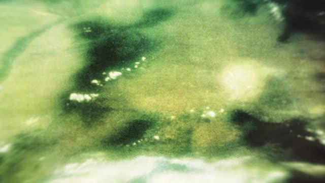 God of Creation 16
