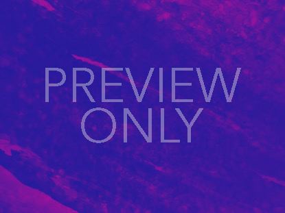 Color Dynamics Still 5