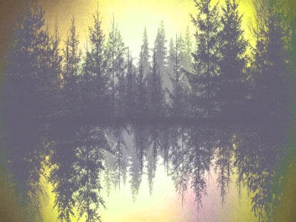 Natures Beauty 6 Motion