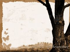 Branches