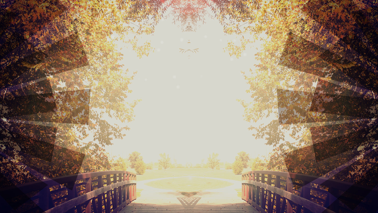 Fall Geometry Flares Still