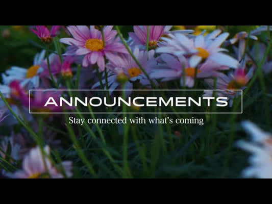 Springs Embrace Announcements