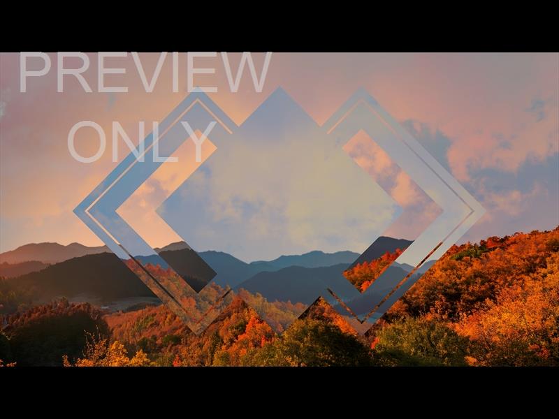 Wilderness Fall 7 Remix Still