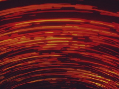 Deep Circles Orange
