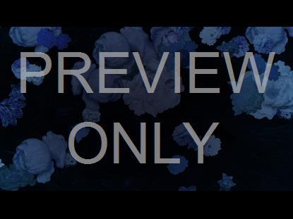 Who You Say I Am Still 1