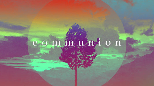 Lonely Tree Communion Still