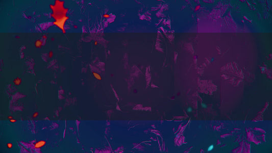 Autumn Memories 6 Alt