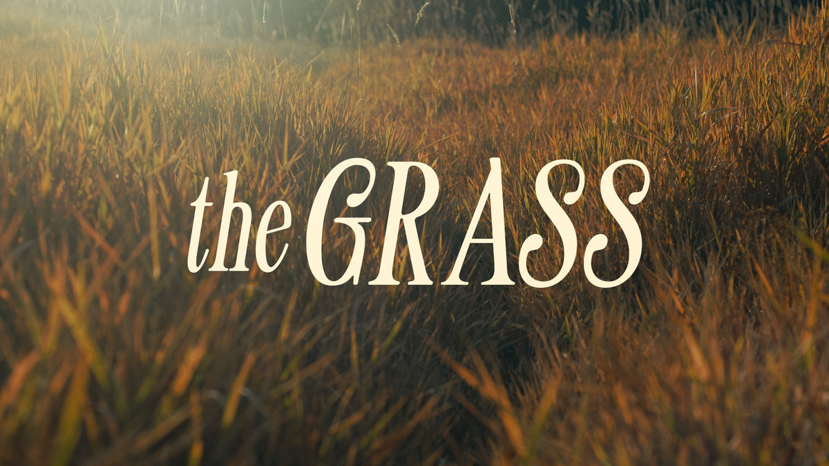 The Grass