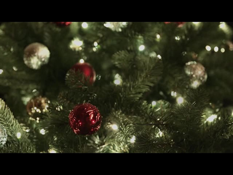Christmas Lights Ii: 01