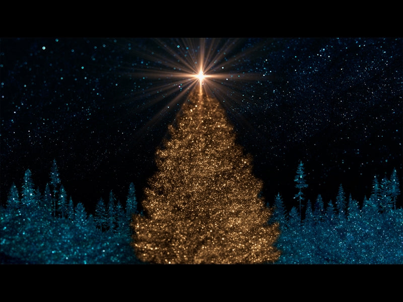 Sparkling Christmas 1