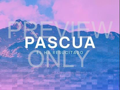 Resurrection Hope Easter Spanish Still