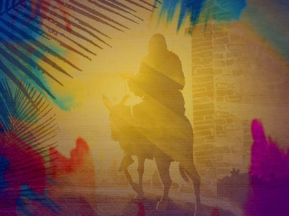 Sanctified Lamb Motion 6