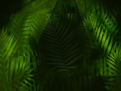 Palm Leaf 3 Motion