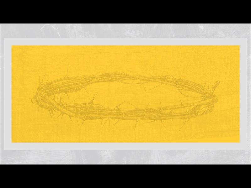 Polaroid Palm Loop 08