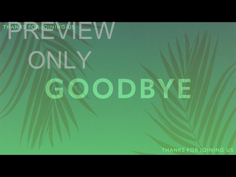 Risen Palms Goodbye Still