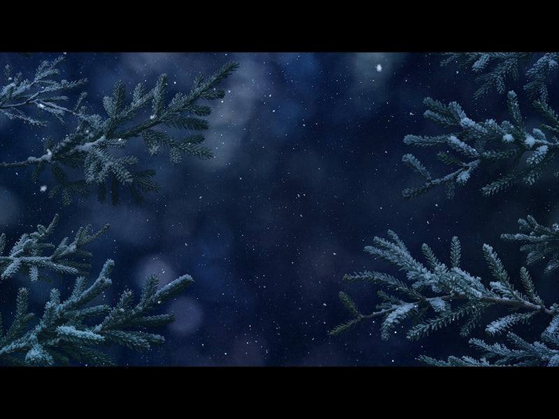 Christmas Wintertide 1