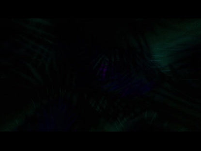 Palm Sunday Collection 10