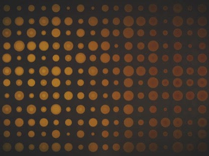 Circle Grid Orange