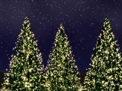Christmas Tree Revolution