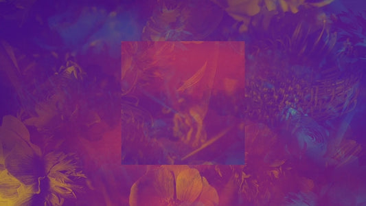 Floral Reflections 15