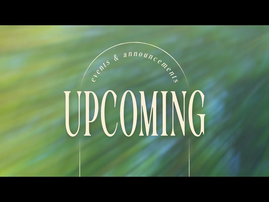 Forest Light Upcoming