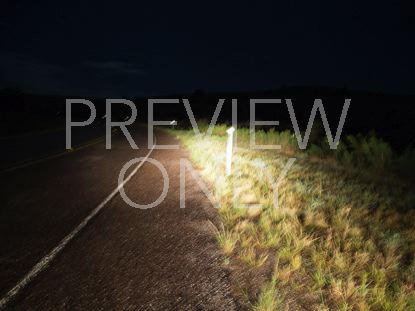 Night Road