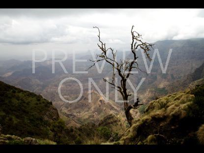 African Valley