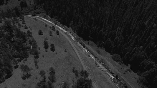 Aerial Forest Remix Still