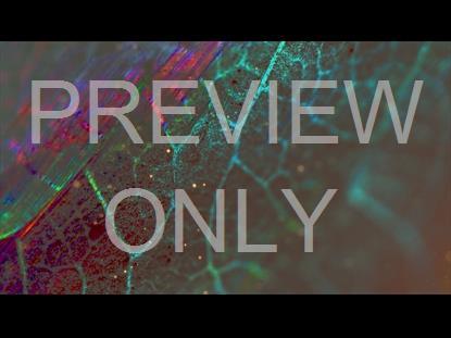 Autumn In Color 3 Graphic