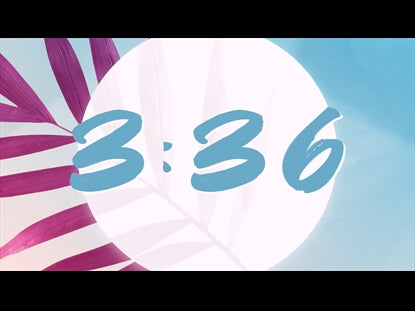 Modern Palm Magenta Countdown