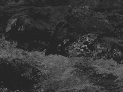 Black And White Crash