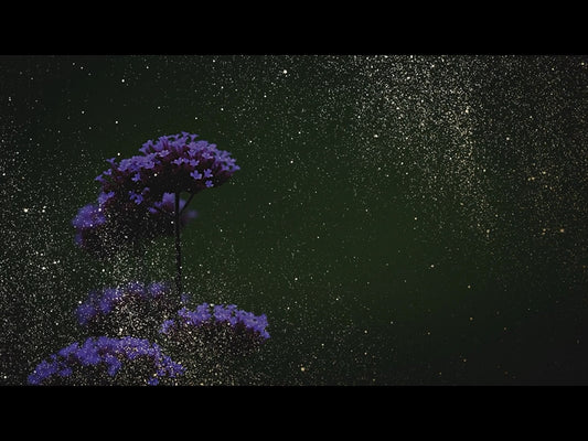 Ebony Floral: Loop 05