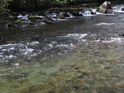 River Pebbles Long Play