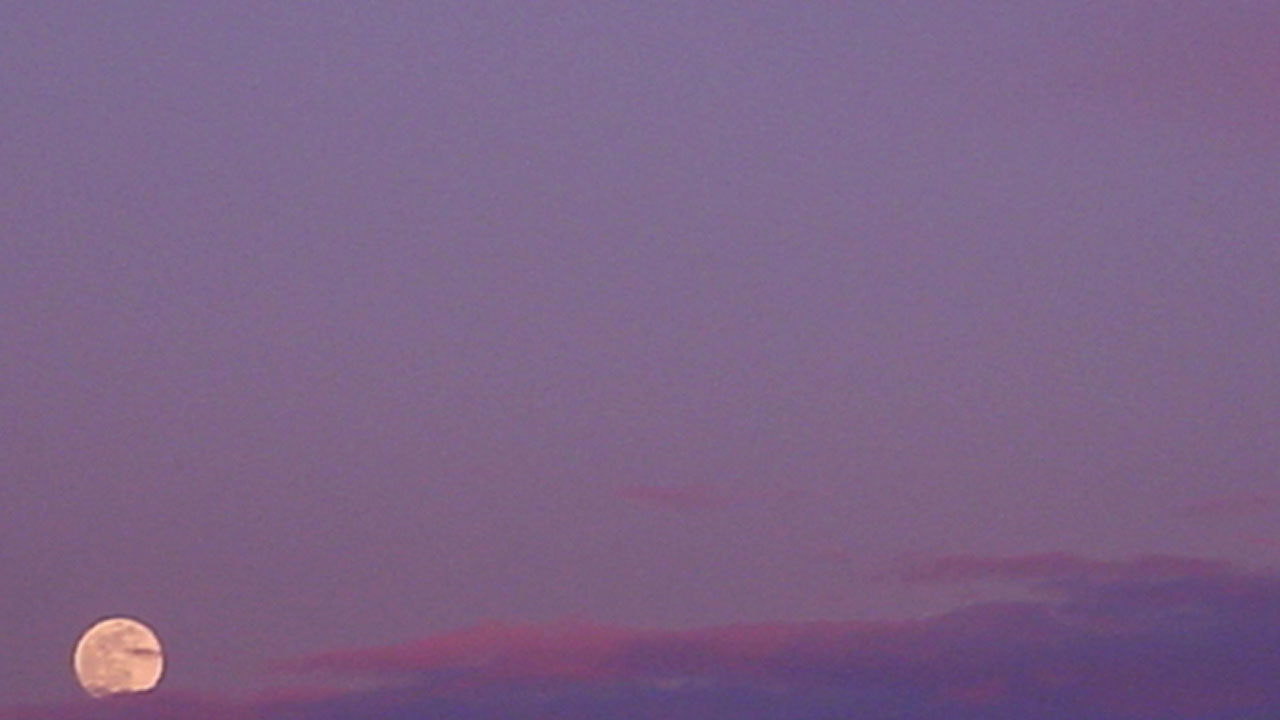 Purple Moon