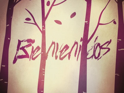 Fall Birch Trees Welcome Motion - Spanish