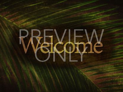 Ancient Palm Welcome 2