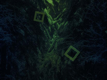 Secret Forest Squares