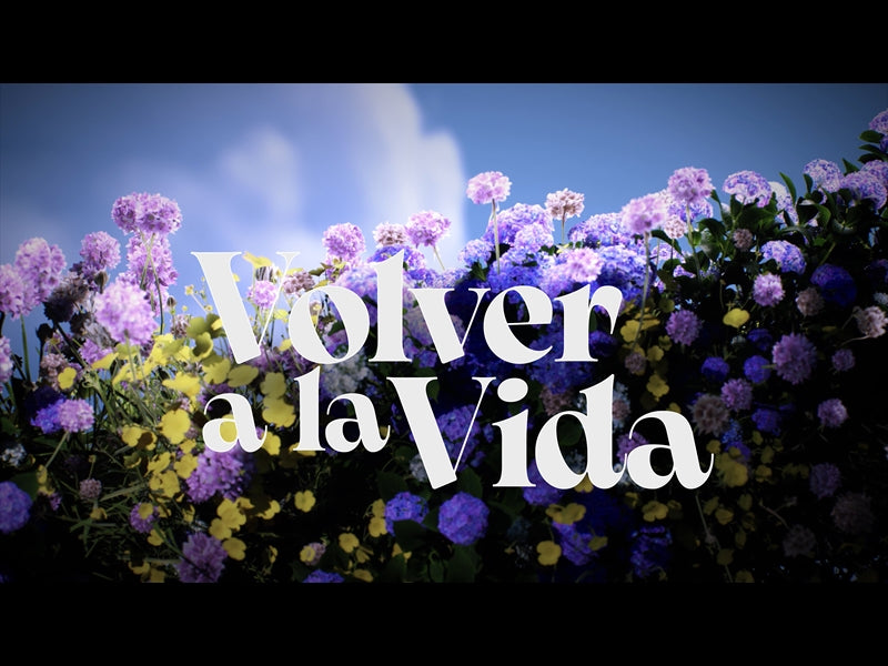 Back To Life Bumper - Spanish