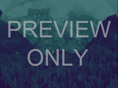 Epic Spring Aerial Dark Teal Purple