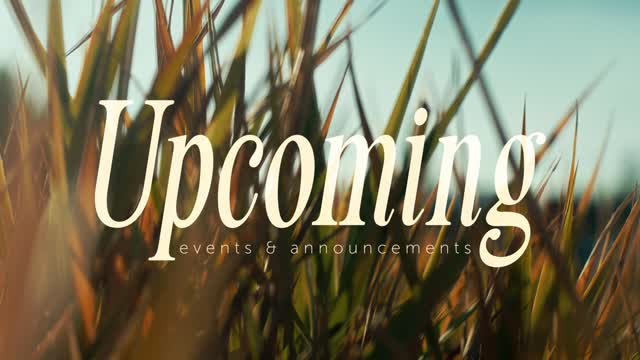 The Grass Upcoming