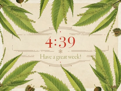 Christmas Botanical Countdown