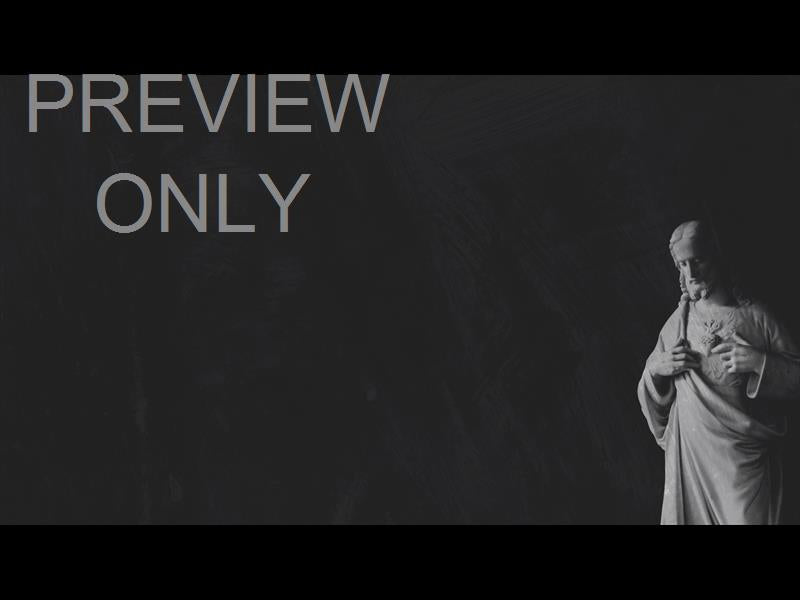 Polaroid Palm Still 06