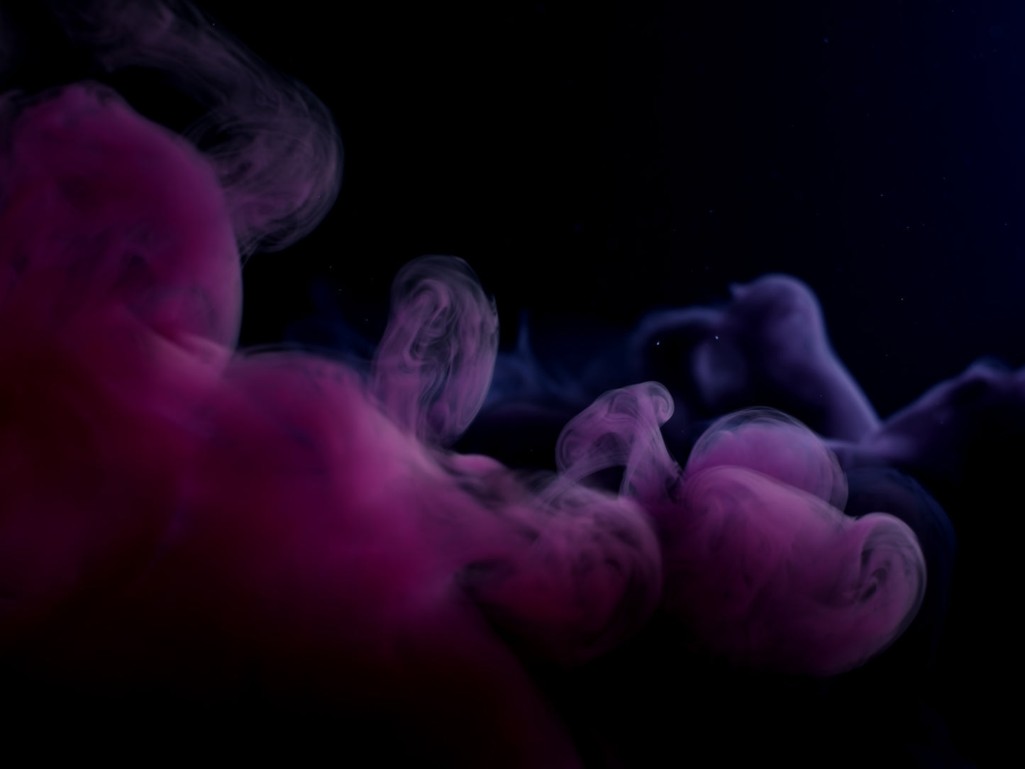 Dark Pink And Indigo Delayed Indigo (Long Play)