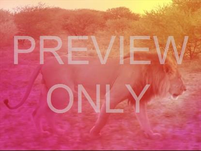 Mark Christs Power For Every Need Teaching Still 1