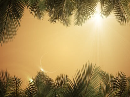 Sky View Palm Branches Gold Scroll