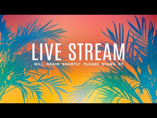 Sun Palms Live Stream