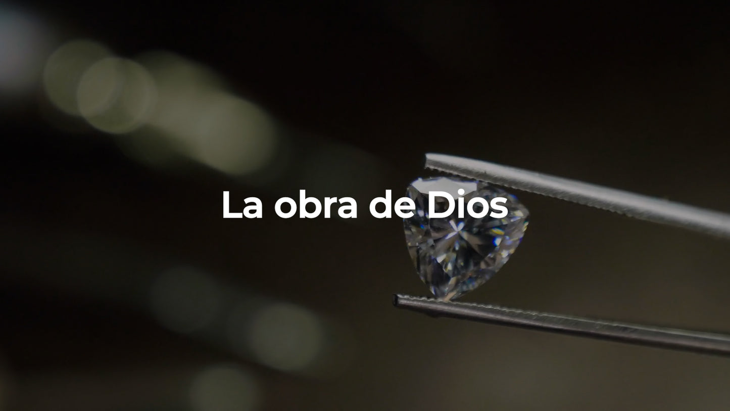 La Obra De Dios